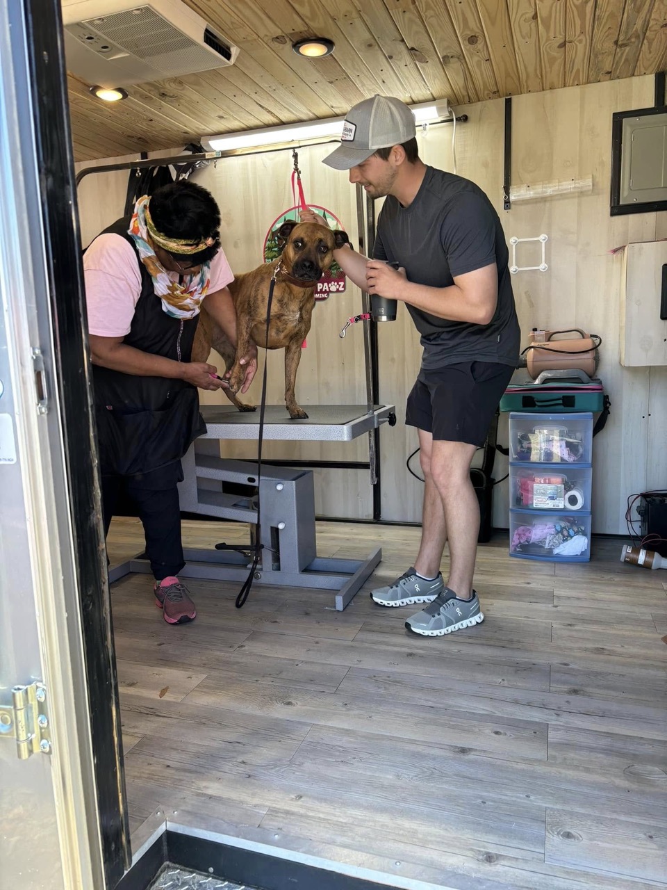 Mobile Grooming