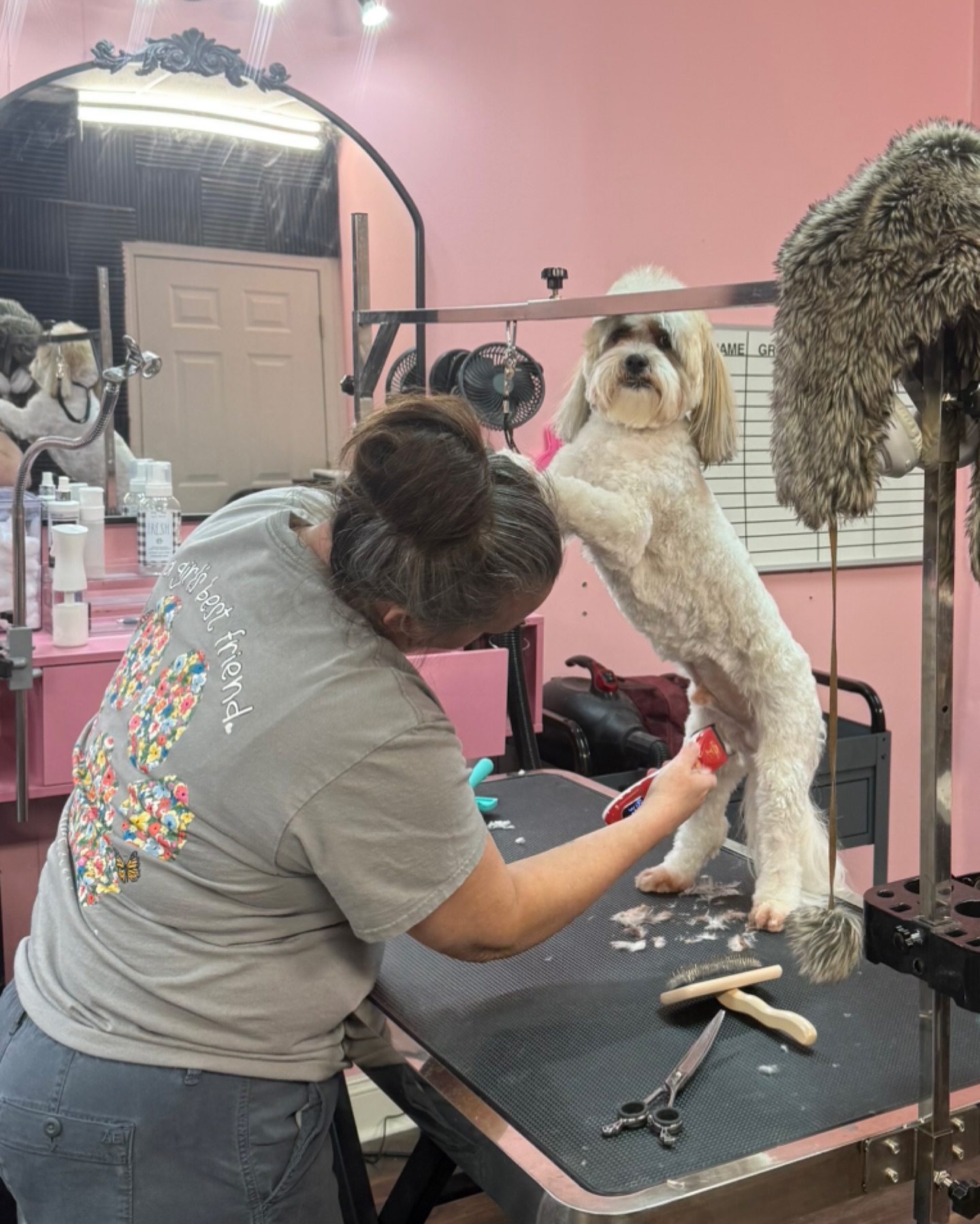 Southern Pines Grooming