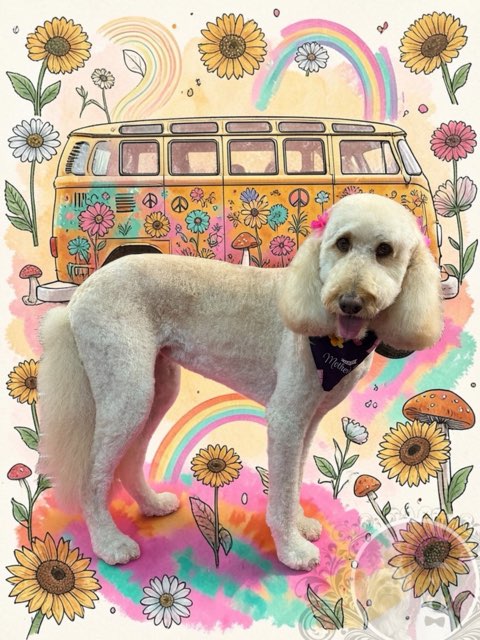 Southern Pines Salon Gallery image